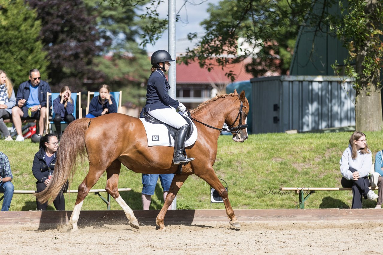 Bild 170 - Pony Akademie Turnier